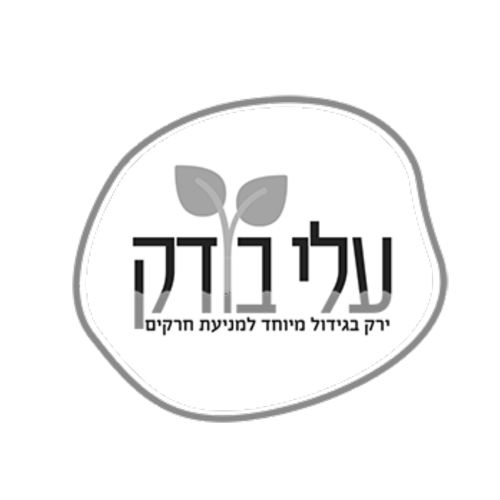 זאב אפטר | 