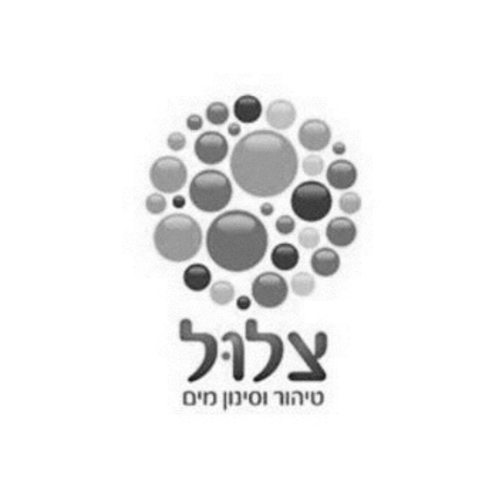 אדיר כהן | 